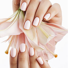 Inouis Institut - Rubrique