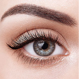 Inouis Institut - Rubrique